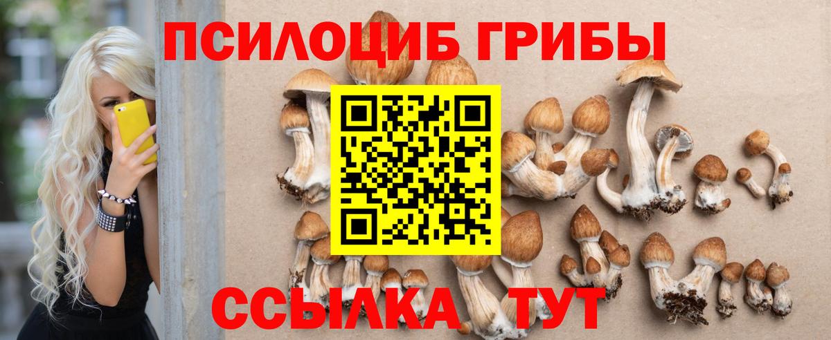 Грозный  Галлюциногенные грибы Cubensis  Вход с VPN  Галлюциногенные грибы Psilocybe 